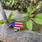 USA Eagle Pin