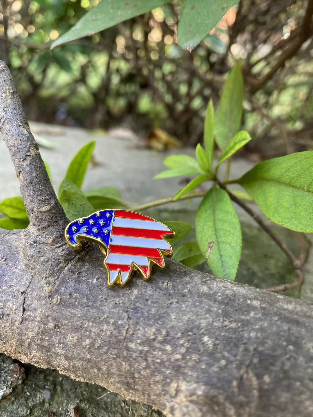 USA Eagle Pin