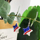 USA Star Studded Earrings