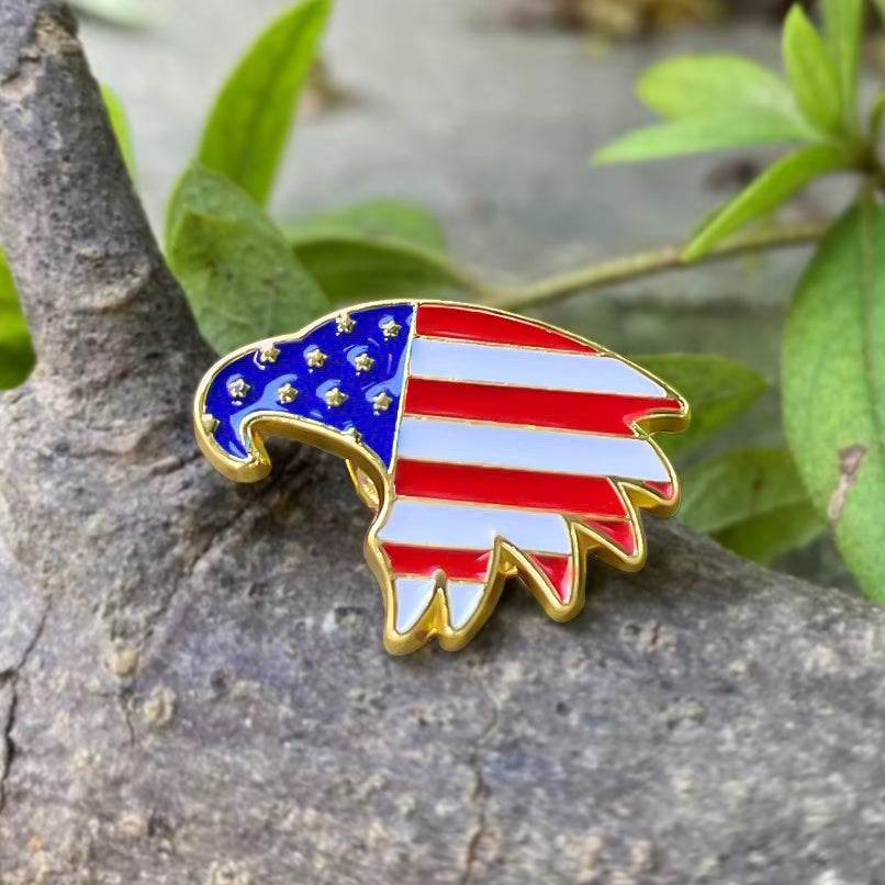 USA Eagle Pin