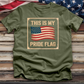 This Is My Pride Flag 2 Tee