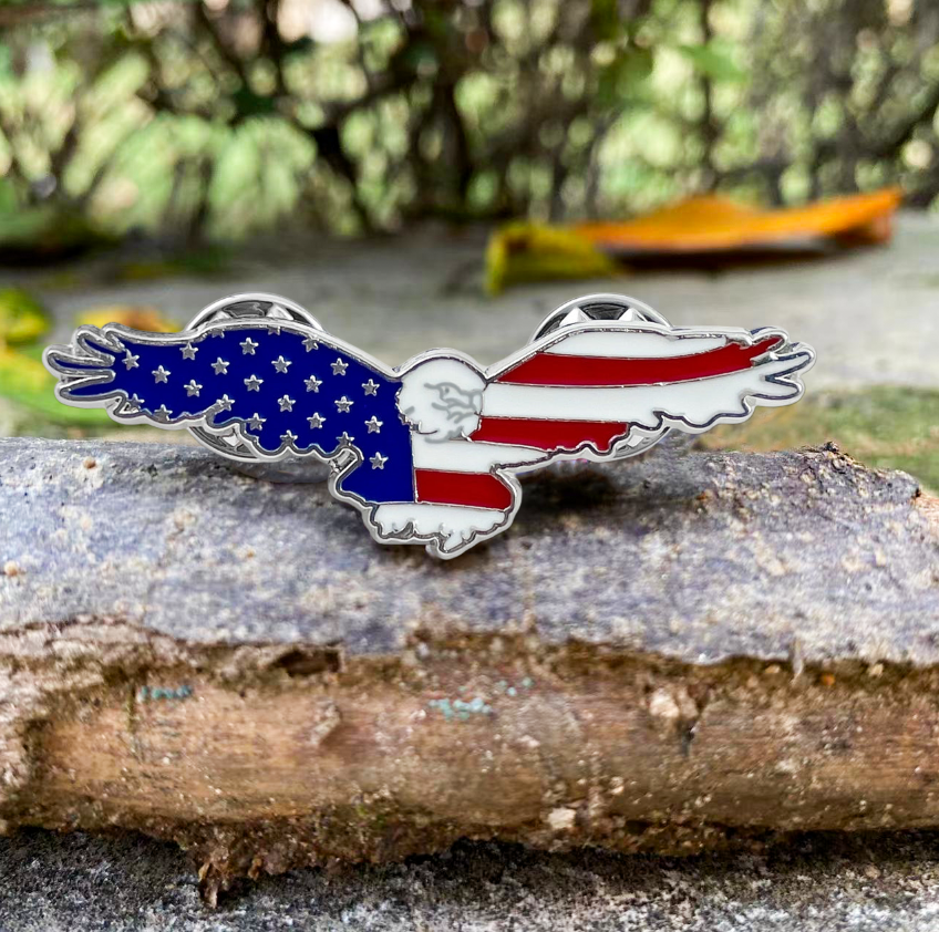 USA Bald Eagle Pin