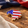 USA Eagle Pin